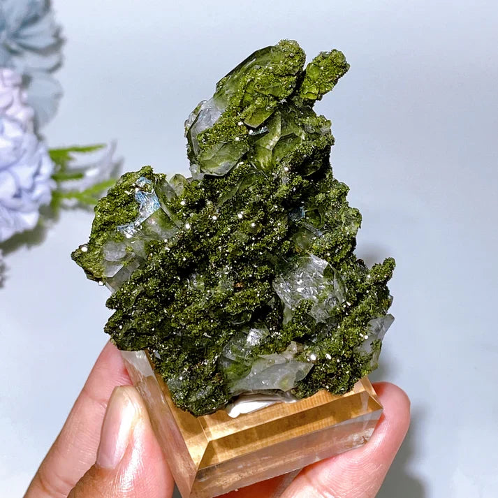 Forest Epidote with Quartz Specimen Crystal Healing Bulk Wholesale